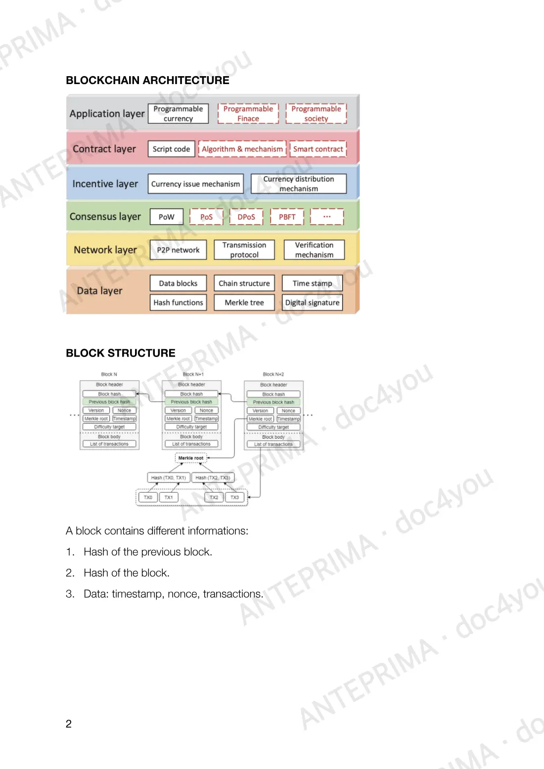 Pagina 2 del documento